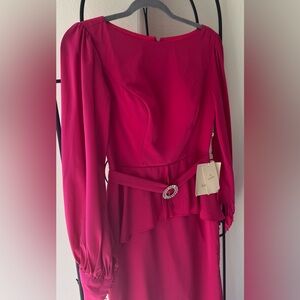 LanTing Bride Fuchsia Formal Gown NWT Structured Bodice formal dress - Size 4